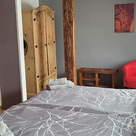Apartmán Harzritter Domizil Cattenstedt Exteriér fotografie
